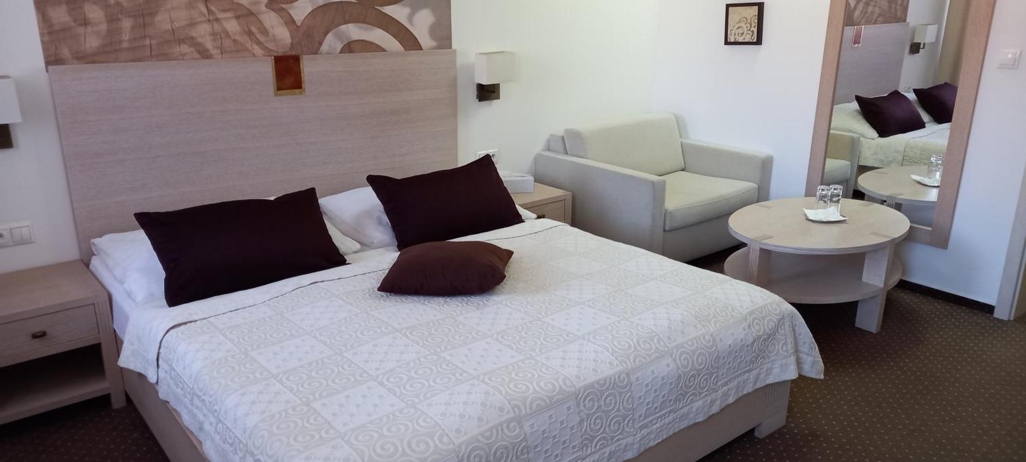 Hotel Slameny Dom & Spa Malá Ida 部屋 写真