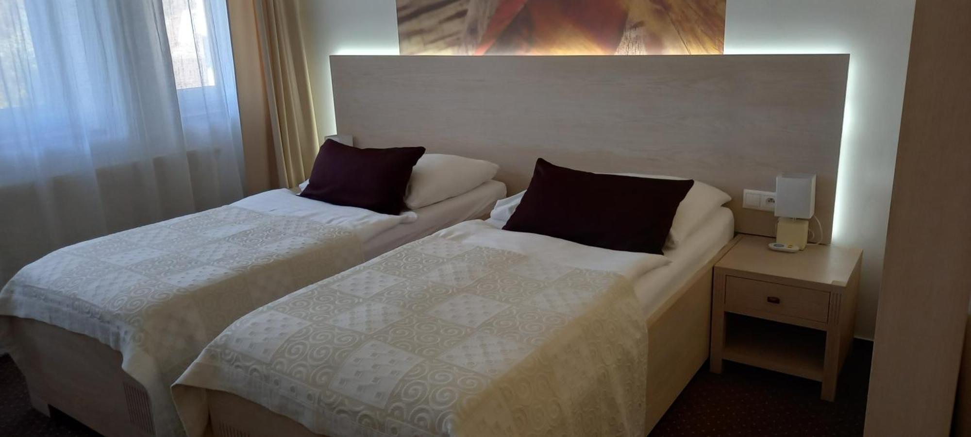 Hotel Slameny Dom & Spa Malá Ida 部屋 写真